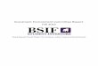 BSIF Investment-Environment-Committee-Report-Fall-2015