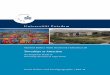 Townships as attraction : an empirical study of township tourism in 