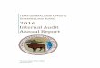 2016 SAO Internal Audit Annual Report
