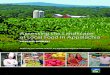Assessing the Landscape of Local Food in Appalachia, Executive 
