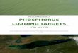Recommended Phosphorus Loading Targets for Lake Erie - May 2015