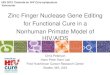 Zinc Finger Nuclease Gene Editing for Functional Cure in a 