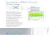 Assessing a MIMO Channel White Paper