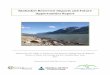 Kinbasket Reservoir Impacts and Future Opportunities Report