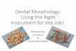 “Dental Morphology: Using the Right Instrument for the Job!