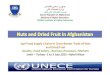 ANDF -PPT for UNECE [Read-Only]