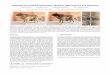Physically-Accurate Fur Reflectance: Modeling, Measurement and 