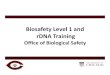 Biosafety Level 1 and rDNA Training Slides.pdf