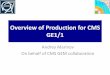 Overview of Production for CMS GE1/1