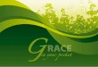 Grace in Your Pocket PowerPoint Ppt file