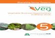 Vegetable Business Opportunities in Ghana: 2016 GhanaVeg 