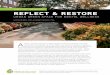 Reflect and Restore – Urban Green Space for Mental Wellness