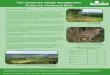 The Complete Hedge Management Guide for Farmland Birds