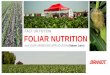 2015-Foliar_Nutrition Fact or Fiction