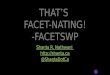 That's Facet-nating! FacetWP WordCamp Rochester 2016