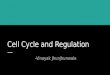 Cell cycle and regulation