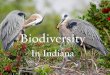 Biodiversity in Indiana - Sustainable Natural Resources Task Force 11/10/11