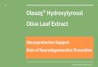 Olea25® hydroxytyrosol neuroprotect cytoprotect