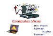 Computer viruses, types and preventions