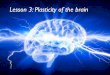 Lesson 9   plasticity rewiring of the brain 2015