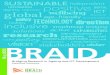 BRAID Executive  Summary