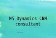 Ms dynamics crm consultant