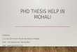 Phd thesis help in mohali