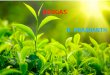 Renewable energy(Biogas)