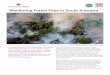 Case study monitoring-forest-fires-in-south-sumatra