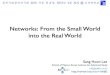 Networks: From the Small World into the Real World