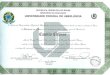 Certificate Physics Bachelor UFU