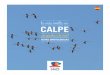 birding calpe-esp