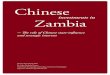 Chinese investments in Zambia - the role of Chinese state-influence and strategic interests (Masters Thesis March 2008)