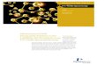 Measurement of Gold Nanoparticle Solutions