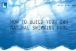 How to Build Your Own Natural Swimming Pool