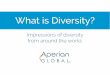 What is Diversity?: Impression of Diversity from Around the World