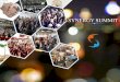 SYNERGY 2015 - The International Entrepreneurship Summit (Brochure)