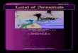 Land of Immortals - Fanzine n.0