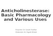 Anticholinesterase basic pharmacology and uses