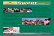 Ethiopian Sugar Corporation Newsletter (Sweet ) - Vol. 5 No. 2  December , 2016