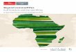 Beyond Commodities - Gulf investors and the new Africa