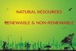 Natural resources   renewable and non renewable