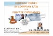 Crtitical issues in Company Law  for Private Companies