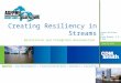 ASFPM 2016: Creating Resiliency in Streams