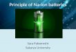 Principle of Sodium ion baterries