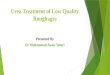 Urea treatment of low quailty roughages