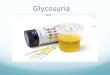 Glycosuria and Polyuria  slide show