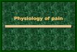 Physiology 7-Pain
