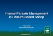 Internal Parasite Management in Pasture-Based Sheep