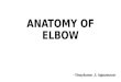 Anatomy of elbow and INTERCONDYLAR FRACTURE OF THE HUMERUS